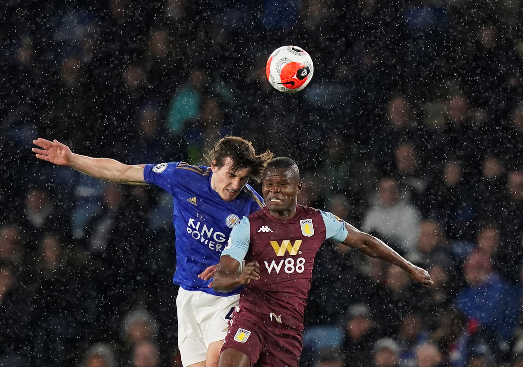 和适应能力 和适应能力